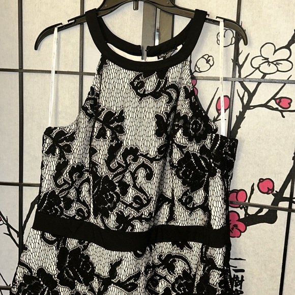 NWT City Chic Pretty Lace dress in black and white - Picture 3 of 13